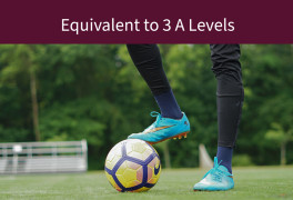 sport and physical activity level 3 extended diploma